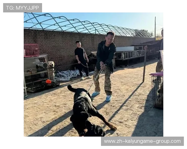 是谁为校园安全事故买单？原总务主任案再起争议，校园安全事件处理办法